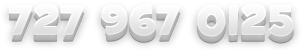 7279670125